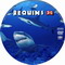 REQUINS 3D